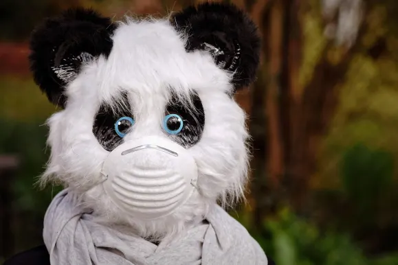 Bet9 Casino Tacaíocht